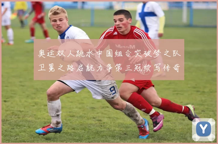 奥运双人跳水中国组合突破梦之队卫冕之路启航力争第三冠续写传奇